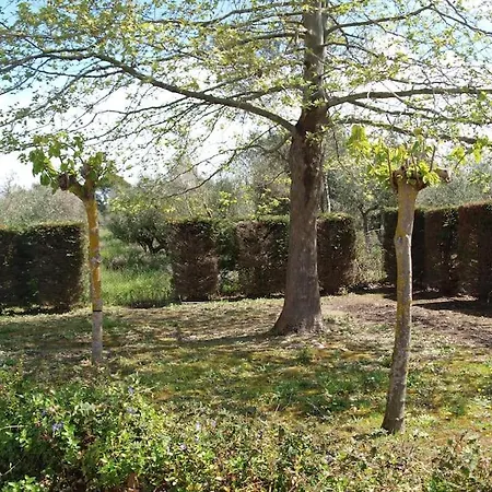 בית נופש Maria's House 2 *